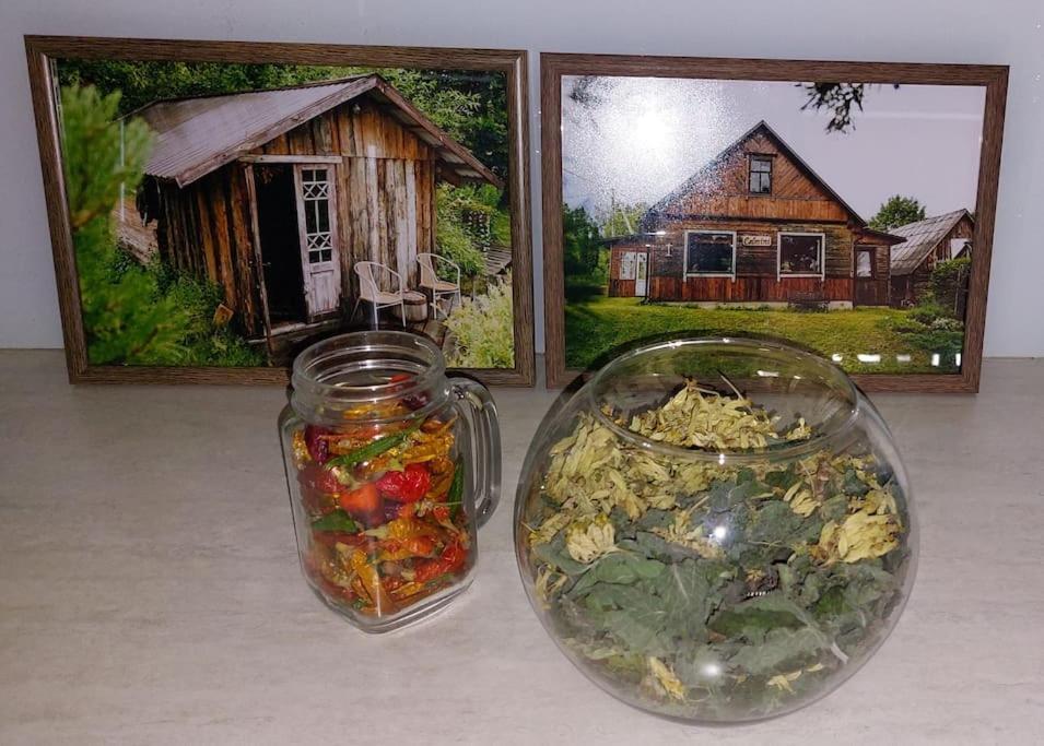 Spicy Studio In Art Nouveau District, Culture Trip Рига Екстериор снимка